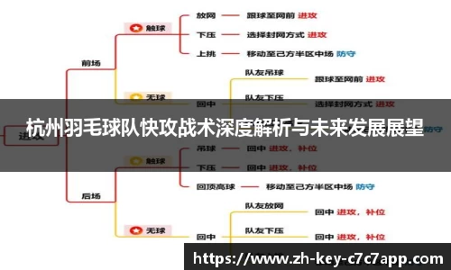 杭州羽毛球队快攻战术深度解析与未来发展展望